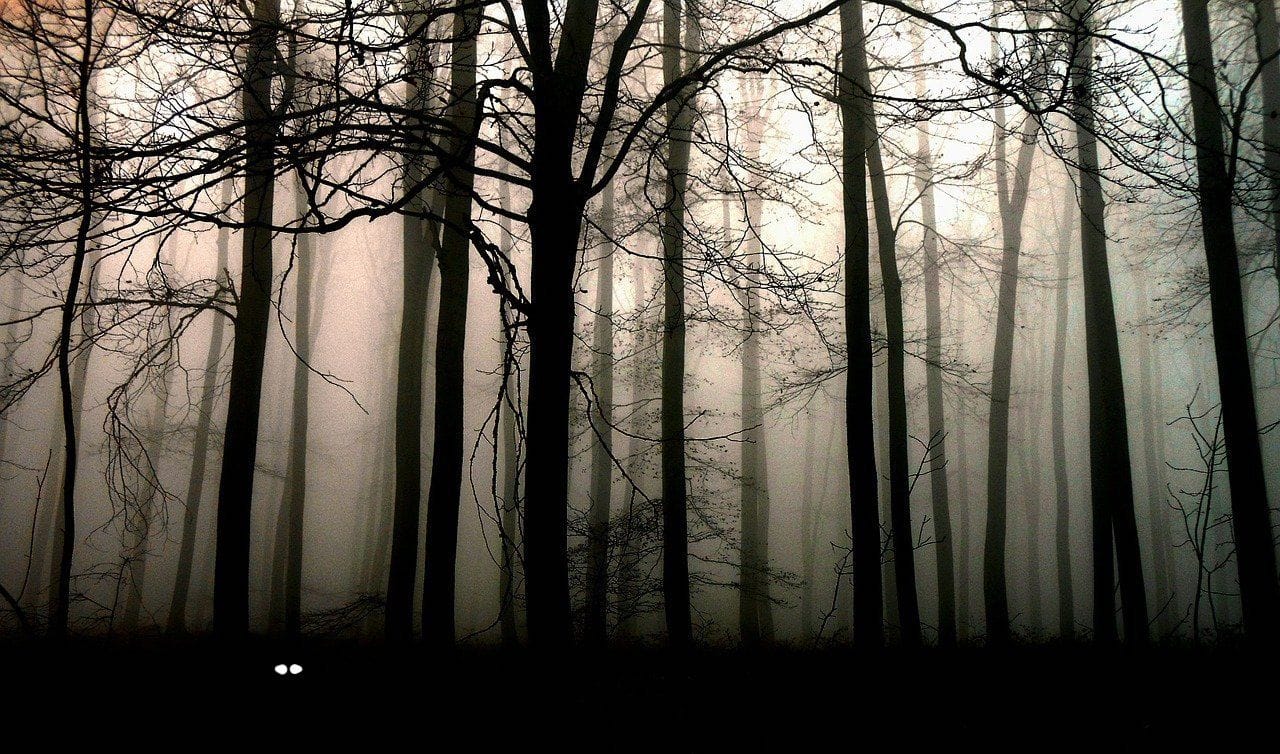 Top 5 haunting destinations to visit in the U.S. for Halloween