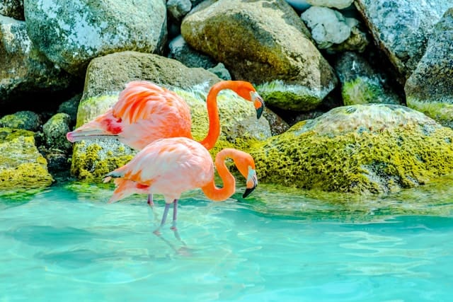 Tropical escapes in the Caribbean